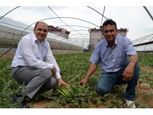 Türkiye’deki mahkumların ağzını ’Cihan’ tatlandırıyor