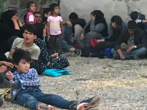 Ayvalık’ta 37 mülteci yakalandı