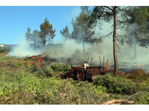 GÜNCELLEME Aydın'da orman yangını