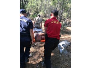 Ormanda kaybolup kayalıklardan düşen alzaymır hastasını jandarma kurtardı
