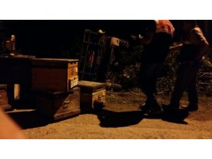 Patpat devrildi: 1 ölü