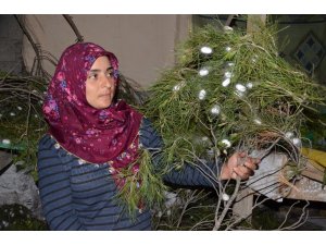 Ev hanımıydı izlediği belgeselden etkilendi ipek böceği yetiştirmeye başladı