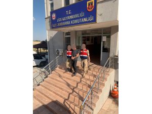 Lice’de 2 PKK’lı terörist yakalandı