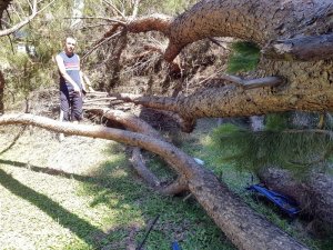 Aydın’da bir aile faciadan kıl payı kurtuldu