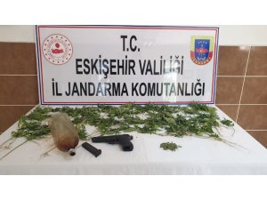 Uyuşturucu çiftçileri yakalandı