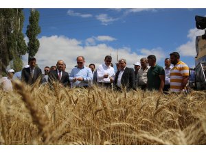 Sivas'ta 'Tarla Günü' etkinliği düzenlendi