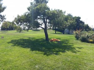 Peyzaj çalışması yapan işçiler ceset buldu