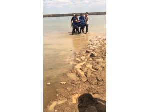 Ergani’de atıyla gezen genç, baraj gölüne düşerek boğuldu