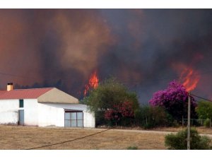 Portekiz’de orman yangınları kontrol altına alındı