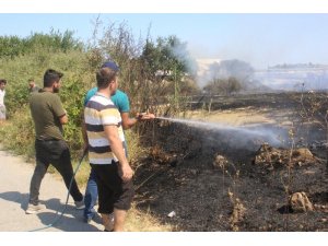 Antalya’da çıkan yangında 20 dönüm zarar gördü