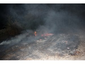 Anında müdahale ormanı yanmaktan kurtardı