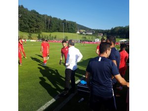 Erol Bedir Avusturya’da