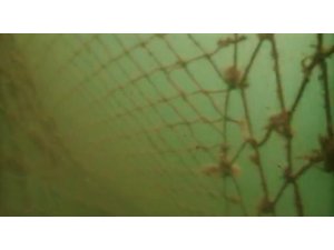 Marmara Denizi’nin dibinde gizlenmiş halde bulundu