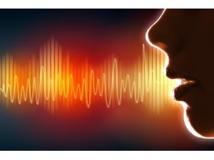 Ses teknolojileri 300 milyar dolarlık telefon dolandırıcılığını önlüyor