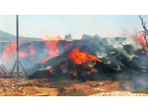 Milas’ta 6 bin balya saman kül oldu