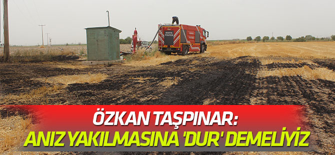 Taşpınar: Anız yakılmasına 'dur' demeliyiz