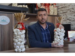 Beyaz Altın Sarımsak 17 TL’den alıcı buldu