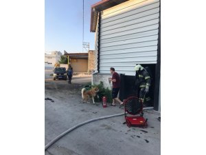 Yanan iş yerinde mahsur kalan köpek kepenkler kesilerek kurtarıldı