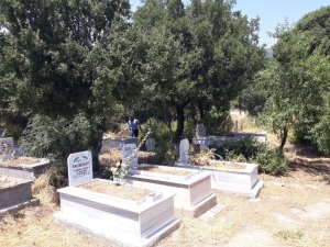 Mezarlıkta çıkan yangın korkuttu