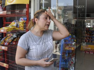 Gebe kedinin pitbullun önüne atılıp parçalatılması