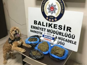 Narkotik köpeğinden kaçamadılar