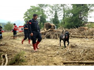 Düzce'deki su baskını ve toprak kayması