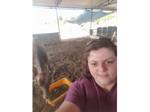 İneği ölümden kurtaran veteriner hekim hayatını kaybetti