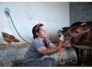 Huzuru Köyde Bulanlar - Şehirde ev temizliğine gidiyordu, besici oldu
