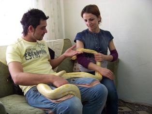 Dev pitonla birlikte yaşıyor