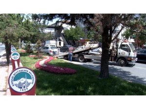 Direksiyon hakimiyeti kaybolan otomobil ağaca çarptı