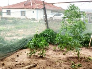 Müstakil evde uyuşturucu imalatına 1 tutuklama