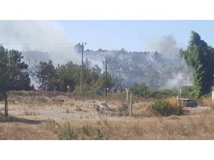 Ayvalık’ta orman yangını...