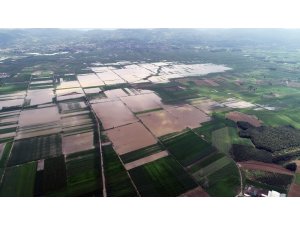 Serdivan’da bin 735 dekar tarım alanı selden zarar gördü