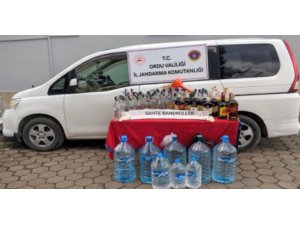 Ordu’da kenevir ve kaçak içki operasyonu
