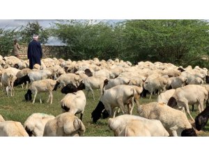 İDDEF’ten ‘bayrama hazırız’ mesajı