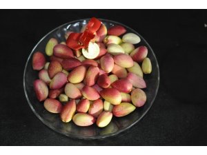 Fıstıkta ilk hasada çeyrek altın ödülü