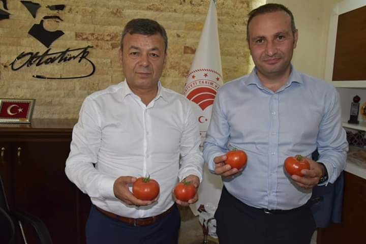 "Gelin Kardeş Olalım" projesi
