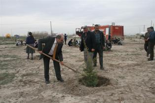 Karapınar'da 13 bin fidan dağıtıldı