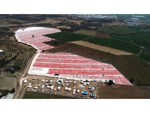 İzmir ovaları kırmızıya büründü