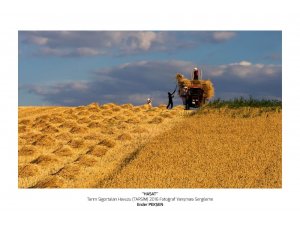 TARSİM’den ‘Hasat Bayramı’ mesajı