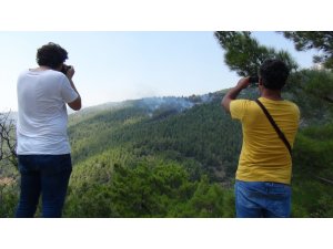 Mersin’de orman yangını