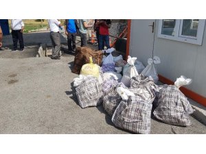 Kaçak salep toplayıcılarına büyük ceza