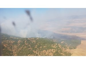 Gaziantep’te orman yangını