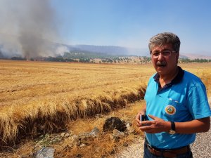 Gaziantep'te orman yangını