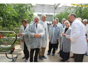 Türkiye’nin fabrika baca atığı ile ısıtılan ilk modern serası hizmete açıldı