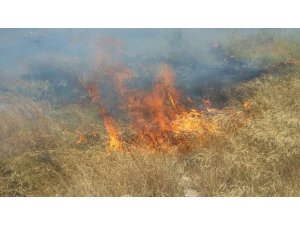 Burhaniye’de yazlık sitedeki ot yangını korkuttu