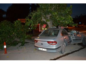 Balıkesir’de otomobil ağaca çarptı: 1 ölü