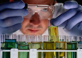 Deri hücrelerinin kökeni keşfedildi