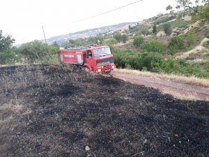 Mangal ateşi otluk alanda yangına neden oldu