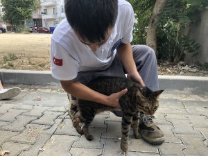 Alevlerin arasında kalan kediyi itfaiye böyle kurtardı